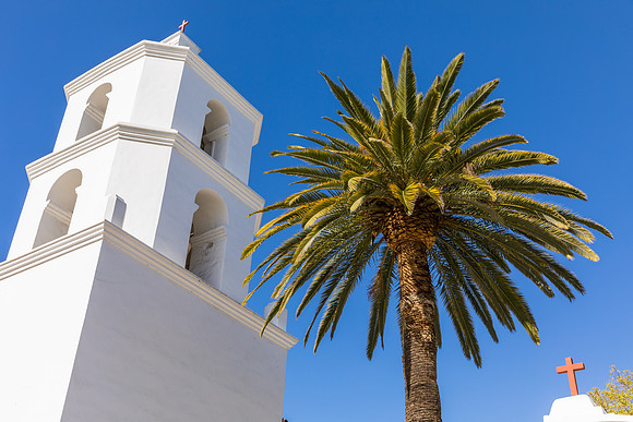 Mission Tower and Palm Tree
