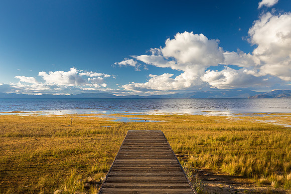 Pier over Grassy Shores of Lake Tahoe