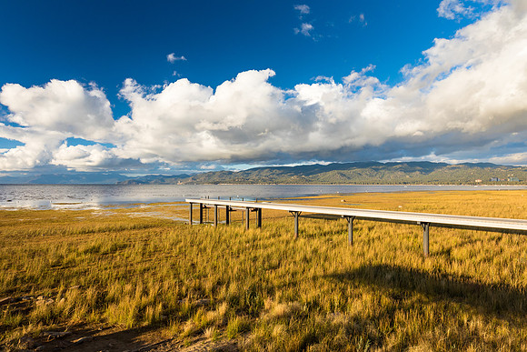 Grassy Shores of South Lake Tahoe