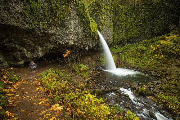 Trail Runner on Horseshoe Falls Trail