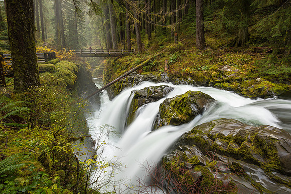 Sol Duc Falls, Olympic NP
