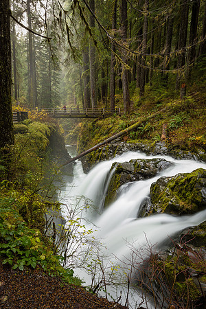 Sol Duc Falls, Olympic NP (vert)