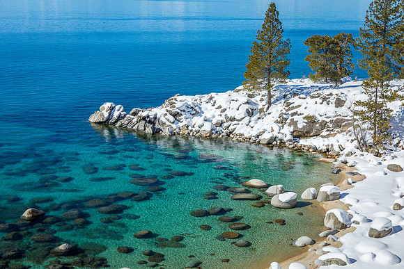 Secret Cove (detail)