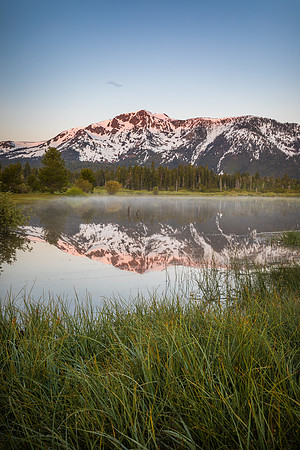 Tallac First Light Reflection grass vert