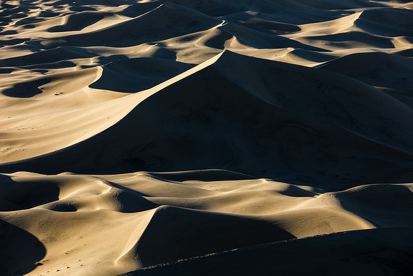 _JV_5615-Edit